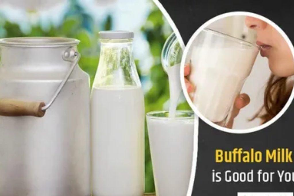 Enjoy the health benefits of Wellhealthorganic Buffalo Milk tag – a nutrient-rich, creamy milk choice perfect for a stronger, healthier lifestyle