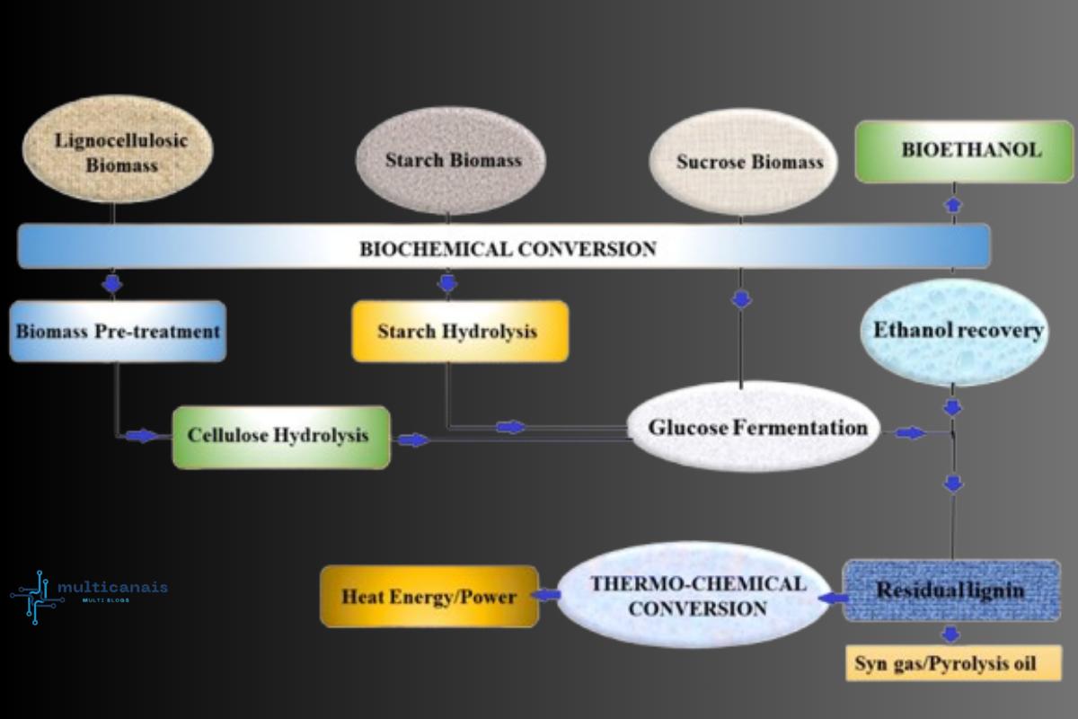 innovative bioethanol conversion in Northern California, this project takes a giant leap toward solutions for sustainable energy