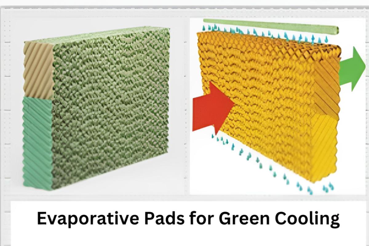 we will delve into the science behind evaporative cooling, the benefits of evaporative pads, and why they might be the green cooling solution you've been searching for.