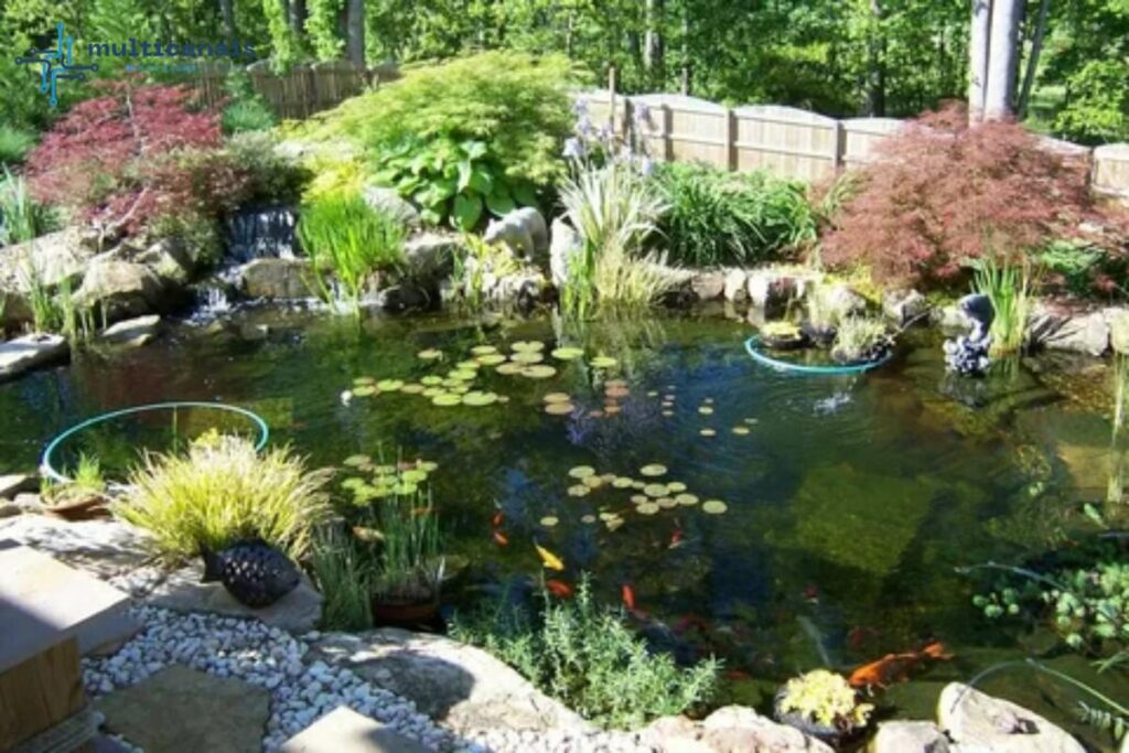 A sensible pond is something past a delight to look at; it's a prospering domain for untamed life and a haven to your property's assessment